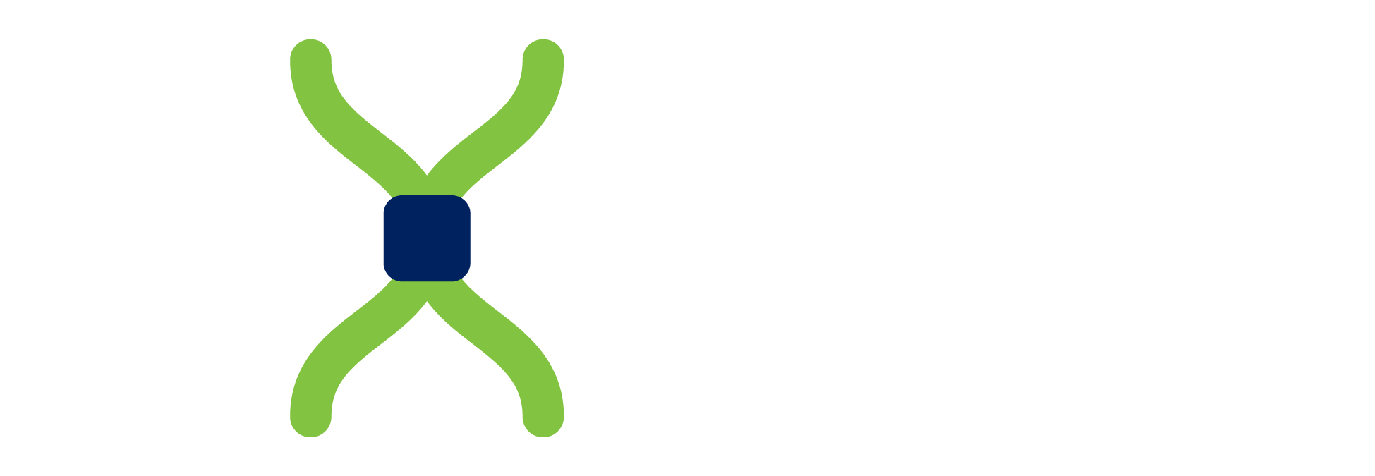 Flexi-Mesh logo